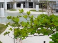 202503_2TainanSpring-061