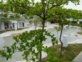 202503_2TainanSpring-076