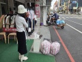 202504_2TainanCity-039