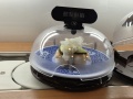 202504_2KuraSushi-005