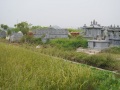 202210_TamCocRicePaddys-026