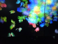 202610_TeamLab-021