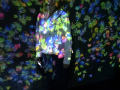 202610_TeamLab-023