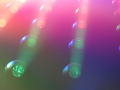 202610_TeamLab-136