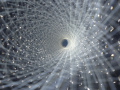 202610_TeamLab-144