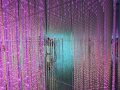 202610_TeamLab-166