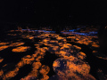 202610_TeamLab-207
