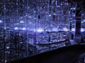 202610_TeamLab-221