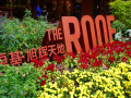 202610_TheRoof-001