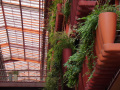 202610_TheRoof-010