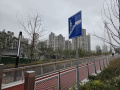 202610_TianAn1000Trees-007
