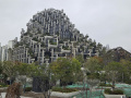 202610_TianAn1000Trees-009