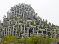 202610_TianAn1000Trees-015