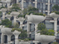 202610_TianAn1000Trees-019