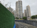202610_TianAn1000Trees-035