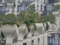 202610_TianAn1000Trees-041