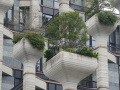 202610_TianAn1000Trees-043
