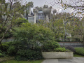 202610_TianAn1000Trees-048
