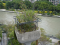 202610_TianAn1000Trees-078