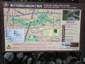 202610_TodorokiTal-016