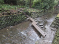202610_TodorokiTal-023