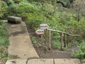 202610_TodorokiTal-039