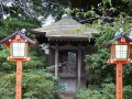 202610_TodorokiTal-053