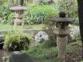 202610_TodorokiTal-087