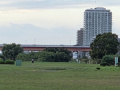 202610_TodorokiTal-110