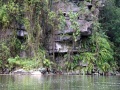 202210_TrangAn-130