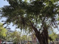 202503_VIE-TPE-KHH-088