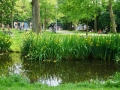 Vondelpark_Amsterdam_May2018_-047