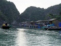 202210_HalongBay1-097