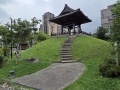 202504_Wanhua-187