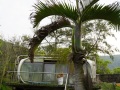 202504_2WanliFuturoHouse-062