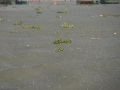202211_sgnFluss-054
