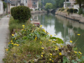 202610_Zhujiajiao-045