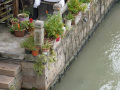 202610_Zhujiajiao-088