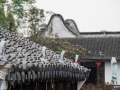 202610_Zhujiajiao-117
