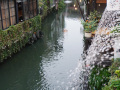 202610_Zhujiajiao-167