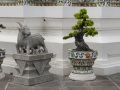 202401_WatArun-009