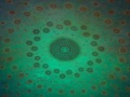 202401_WatPaknam-057