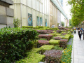 202610_WukangRoad-006