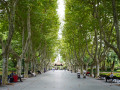 202610_WukangRoad-021