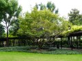 202610_WukangRoad-026