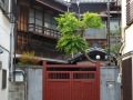 P1050048
