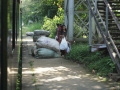 yangon circle line nov_2017 -118