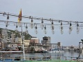 202504_1Yehliu-Geopark-004