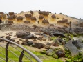 202504_1Yehliu-Geopark-045