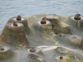 202504_1Yehliu-Geopark-071